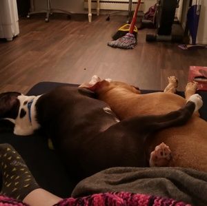 Meet your Posher, Rosa